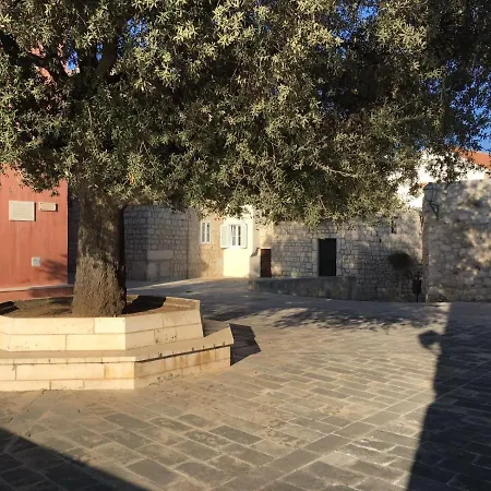 Arbe Downtown Apartman *